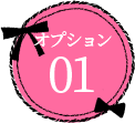 オプション02
