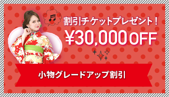 30,000円OFF割引チケット